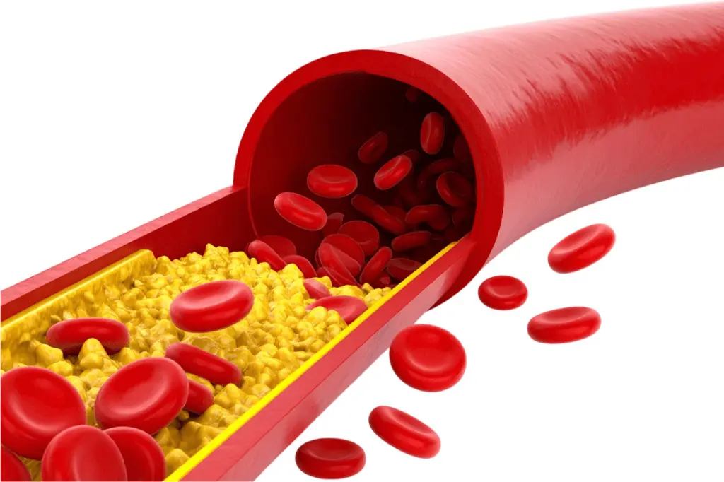 Heart-healthy balanced food